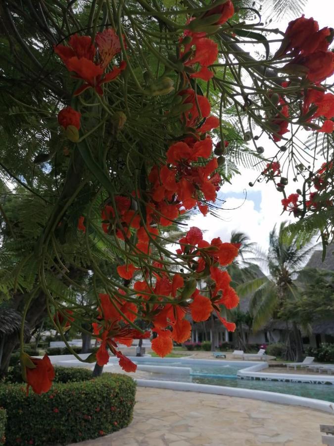 Coral Key Villa Малинди Екстериор снимка